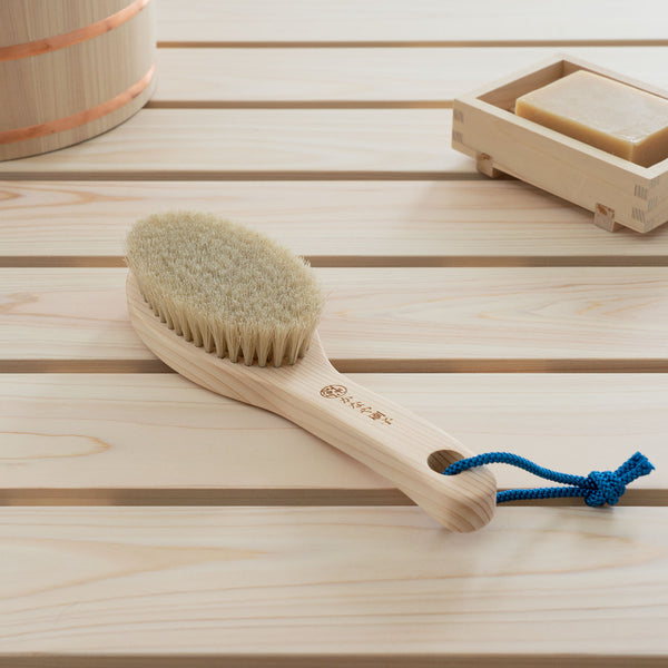 Horse Hair Body Brush - Soft, 9"