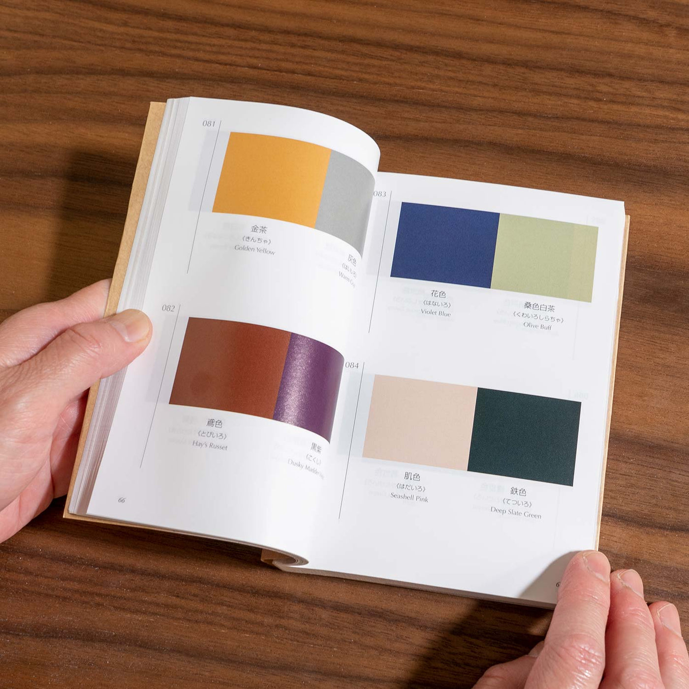 A Book of Colors: Matching Colors, Combining Colors, Color