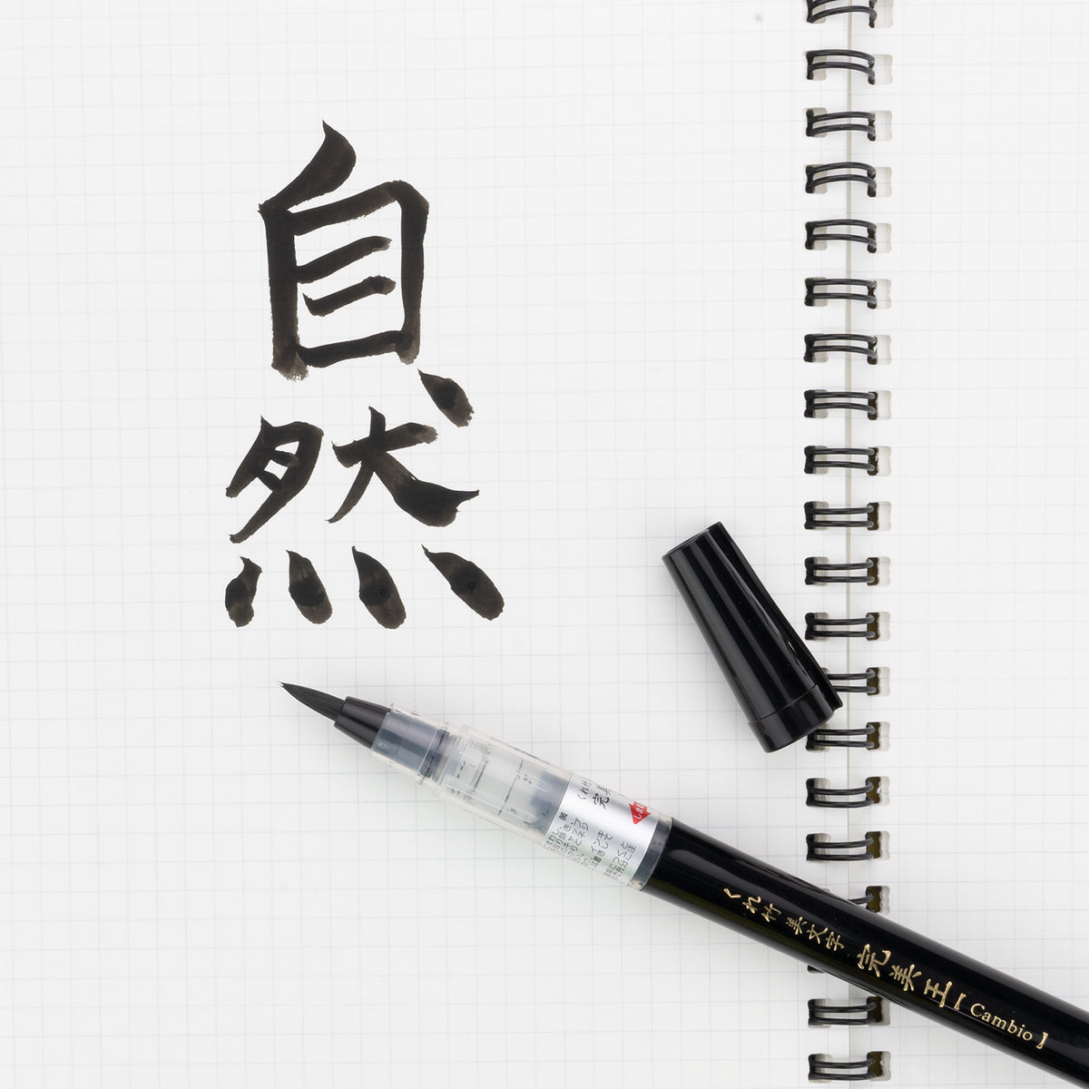 Cambio - Brush Pen, Regular, Black