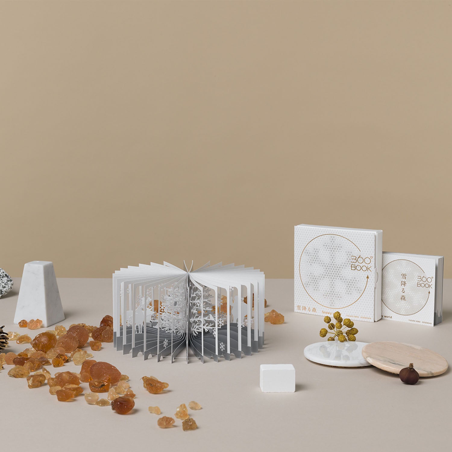 360 Book - Snowy World