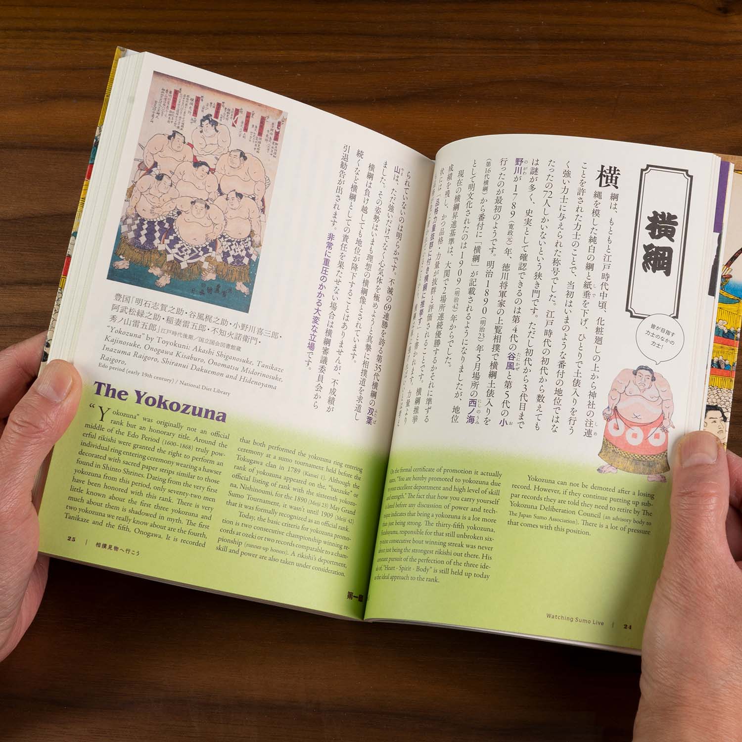 The Perfect Guide To Sumo