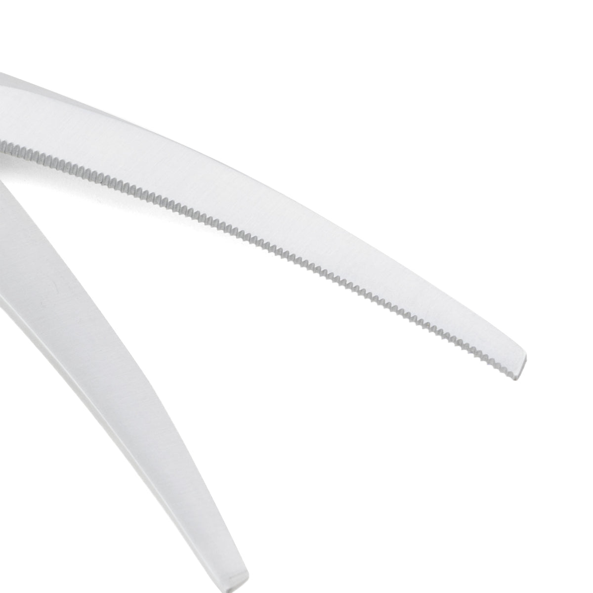 Stainless Steel Kitchen Scissors