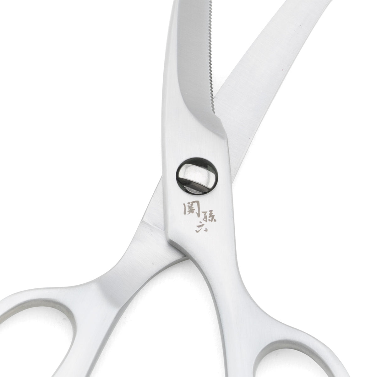Stainless Steel Kitchen Scissors